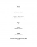 Introducción a los procesos Mineros S.A