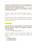 Programa para XV años