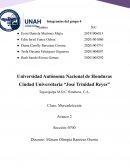 Proyecto mercadotecnia