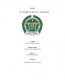 SEA, perspectiva policial y comunitaria