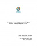 La importancia en el aprendizaje de la letra cursiva o ligada en Educación Montessori para niños de 3 a 6 años