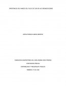 Importancia del manejo del flujo de caja en las organizaciones