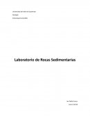 Laboratorio de rocas sedimentarias