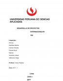 Desarrollo de proyectos internacionales TB2