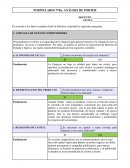 Formulario Nº8 a: Análisis de PORTER