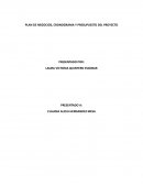 Plan de negocios, cronograma y presupuesto del proyecto