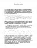 Bioenergía y la biomasa