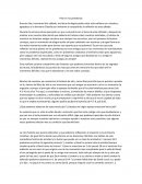 Pilar en los problemas