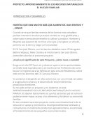 Proyecto Escolar de Huerta