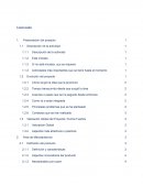 Plan de negocios jugos Beetle Juice