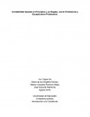 Contabilidad basada en Principios y en Reglas; Juicio Profesional y Escepticismo Profesional