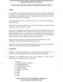 Taller de identificación en muestra de mano de minerales formadores de rocas