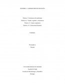 Informe de laboratorio Biología- Fenómenos de membrana