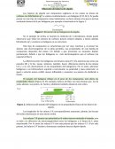 Obtención haluros de alquilo