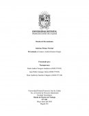 Diseño de Puestos de Trabajo