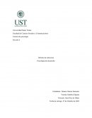 Psicologia del desarrollo, adultez media