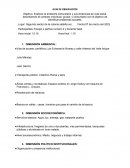 Guia de observacion. Pratica de diagnostico