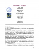 Indices y Ratios