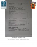 Teorías y procesos de enfermería