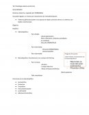 TP histología sistema endocrino