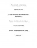 Ensayo del concepto de sustentabilidad y sostenibilidad