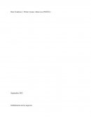 Reto Evidencia 1: Primer Avance Altura Luz (PESTEL)