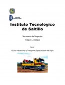 Caso : Grúas Industriales y Transporte Especializado del Bajío
