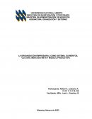 La organización empresarial como sistema, elementos, cultura, mercado meta y módelo productivo