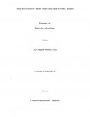 Trabajo de Teorías de las Ciencias Sociales