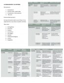 La organización y su entorno