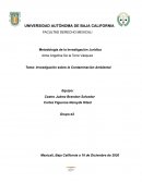 Investigación sobre la Contaminación Ambiental