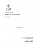 Trabajo Etnográfico