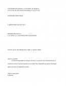 Reporte práctica 4 La fuerza y la deformación de resortes