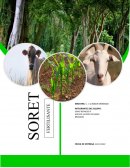 Fertilizante Soret