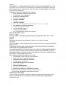 Actividades de proceso de organización de empresas