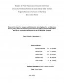 Soporte técnico a los equipos y alfabetización tecnológica