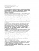 Importancia de la quimica organica en bioquimica y en la vida cotidiana