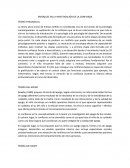 Enfoques en la investigación de la confianza