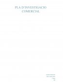 Pla d’investigacio comercial Seat