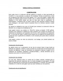 Eaboracion industrial de chorizo