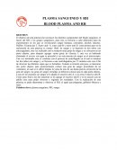 Plasma sanguineo y RH