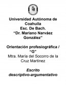 Escrito descriptivo-argumentativo