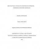 Sistema de información gerencial