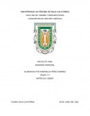 Proyecto final Branding personal