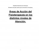 Areas de accion del fisioterapeuta