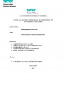 Estados financieros : tiendas EFE