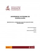Mejora en el llenado de cajas de aguacate para exportación