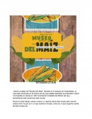 Vamos a hablar del “Museo Del Maiz”