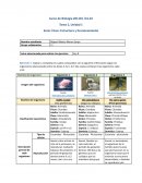Seres Vivos: Estructura y funcionamiento