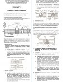Transporte a través de la membrana